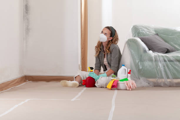 Reliable Mold Remediation contractor in Hamburg, NJ by WQB Mold Removal